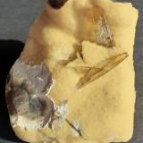 Baryte, Calcite<br />Elk Creek, Dalzell, Meade County, South Dakota, USA<br />5 x 5 cm<br /> (Author: Volkmar Stingl)