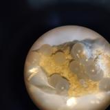 Kamphaugita-(Y)<br />Plutón de La Cabrera, La Cabrera, Comarca Sierra Norte, Comunidad de Madrid, España<br />2x2 mm<br /> (Autor: Ignacio)