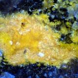 Kasolita<br />Mina San Rafael, Cardeña, Comarca Los Pedroches, Córdoba, Andalucía, España<br />Campo de visión 2,5 mm.<br /> (Autor: Antonio P. López)