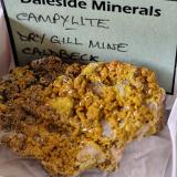 Mimetite (variety campylite)Dry Gill Mine, Caldbeck Fells, Allerdale, former Cumberland, Cumbria, England / United Kingdom60 mm matrix with 5 mm crystals (Author: Forrestblyth)