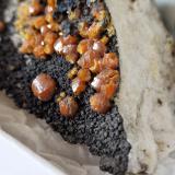 Mimetite (variety campylite)Dry Gill Mine, Caldbeck Fells, Allerdale, former Cumberland, Cumbria, England / United Kingdom60 mm matrix with 5mm crystals (Author: Forrestblyth)