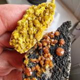 Mimetite (variety campylite)Dry Gill Mine, Caldbeck Fells, Allerdale, former Cumberland, Cumbria, England / United Kingdom5mm crystals (Author: Forrestblyth)