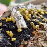 Mimetite (variety campylite) and BaryteDry Gill Mine, Caldbeck Fells, Allerdale, former Cumberland, Cumbria, England / United Kingdom5mm crystals  campylite 10mm baryte (Author: Forrestblyth)