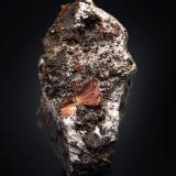 Labuntsovite-Mn with Albite and Natrolite<br />N'orkpakhk Mountain, Khibiny Massif, Kola Peninsula, Murmanskaja Oblast, Northern Region, Russia<br />8 x 13 x 8 cm / main crystal: 2.0 cm.<br /> (Author: MIM Museum)