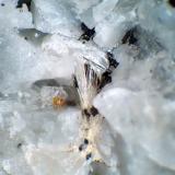 Fogoíta-(Y)<br />Água de Alto, Vila Franca do Campo, Isla San Miguel, Región Autónoma de las Azores, Portugal<br />Grupo de cristales de 1 mm.<br /> (Autor: Antonio P. López)