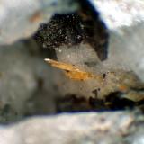 Madeiraíta<br />Terra do Baptista, Porto da Cruz, Municipio Machico, Isla de Madeira, Región Autónoma de Madeira, Portugal<br />Grupo de cristales de 1 mm.<br /> (Autor: Antonio P. López)