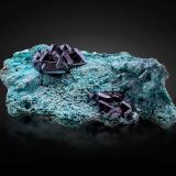 Cuprite on Chrysocolla<br />Mashamba West Mine, Kolwezi District, Lualaba, Katanga Copper Crescent, Katanga (Shaba), Democratic Republic of the Congo (Zaire)<br />11.5 x 6 x 4 cm / main crystal: 2.3 cm.<br /> (Author: MIM Museum)