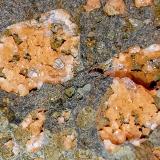 Analcima y gmelinitaLittle Plains Quarry, Weldborought, Tasmania (Australia)7 x 5 cm. (Autor: Felipe Abolafia)