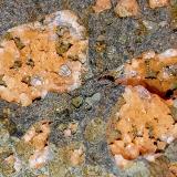 Analcima y gmelinita<br />Little Plains Quarry, Weldborought, Tasmania (Australia)<br />7 x 5 cm.<br /> (Autor: Felipe Abolafia)