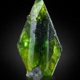 Titanita con CloritaDistrito Skardu, Gilgit-Baltistan (Áreas del Norte), Paquistán4 x 4 x 7.5 cm / cristal principal: 7 cm (Autor: Museo MIM)