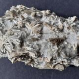Tremolite<br />Weisswasser Quarry, Jennwand Mountain, Laas, Val Venosta (Vinschgau), Autonomous Province South Tyrol, Trentino-Alto Adige (Trentino-Südtirol), Italy<br />10 x 6,5 cm<br /> (Author: Volkmar Stingl)