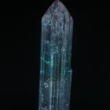 Elbaite<br />Pederneira claim, São José da Safira, Governador Valadares, Vale do Rio Doce, Minas Gerais, Brazil<br />5.2 x 1.4 cm<br /> (Author: am mizunaka)