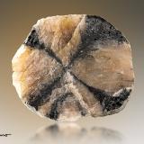 Andalucita (variedad quiastolita)<br />Bretaña/Bretagne, Francia<br />3,30cm x 3cm x 1cm<br /> (Autor: Pere Alonso)