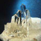 YesoAlabaster quarries, Fuentes de Ebro, Delimitación Comarcal de Zaragoza, Zaragoza, Aragon, Spain5 x 6 cm., tamaño de los cristales: 2,5 x 0,8 cm. (Autor: Felipe Abolafia)