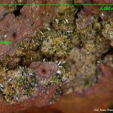 Mimetita.<br />Cercal, Santiago do Cacém, Distrito Setúbal, Región Área Metropolitana de Lisboa, Portugal<br />6´09x4´34 mm.<br /> (Autor: Jesus Franquesa Baucells)