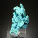 Chrysocolla<br />Tenke-Fungurume area, Kolwezi District, Lualaba, Katanga Copper Crescent, Katanga (Shaba), Democratic Republic of the Congo (Zaire)<br />5.4 x 2.8 x 2.3 cm<br /> (Author: Michael Shaw)
