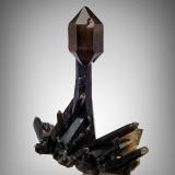 Quartz (varieties smoky and scepter)<br />Petersen Mountain, Hallelujah Junction area, Washoe County, Nevada, USA<br />22.5 x 17 x 30 cm / main crystal: 29 cm<br /> (Author: MIM Museum)