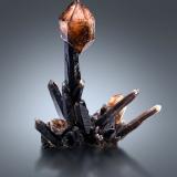 Quartz (varieties smoky and scepter)<br />Petersen Mountain, Hallelujah Junction area, Washoe County, Nevada, USA<br />22.5 x 17 x 30 cm / main crystal: 29 cm<br /> (Author: MIM Museum)