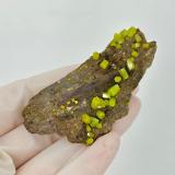 Pyromorphite<br />Yangjiang Prefecture, Guangdong Province, China<br />6.6 x 3.1 x 2.5 cm<br /> (Author: Jordi Fabre)