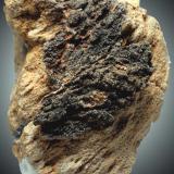 Descloizita<br />Mina Santa Lucía, Rambla Seca, La Peza, Comarca Guadix, Granada, Andalucía, España<br />33 x 23 x 16 mm<br /> (Autor: José Luis Zamora)