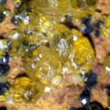 Mimetita<br />Corta Filón Sur, Minas de Tharsis, Tharsis, Alosno, Comarca El Andévalo, Huelva, Andalucía, España<br />3 mm.<br /> (Autor: José Luis Zamora)