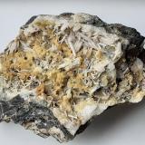 Cerussite<br />Glücksrad Mine, Oberschulenberg, Clausthal-Zellerfeld, Goslar District, Harz, Lower Saxony/Niedersachsen, Germany<br />6 x 3,5 cm<br /> (Author: Volkmar Stingl)