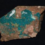 Dioptase<br />Christmas Mine, Christmas, Banner District, Dripping Spring Mountains, Gila County, Arizona, USA<br />8.5x5.7x1.5 cm''s<br /> (Author: Joseph DOliveira)