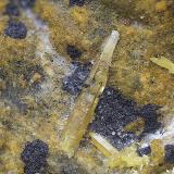 Vanadinita, descloizita y CalderonitaMina La Magnífica, Higuera de Llerena, Comarca Campiña Sur, Badajoz, Extremadura, EspañaCampo de visión de 7 mm. (Autor: Antonio Carmona)
