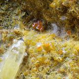 Calderonita<br />Mina La Magnífica, Higuera de Llerena, Comarca Campiña Sur, Badajoz, Extremadura, España<br />Campo de visión de 1 mm.<br /> (Autor: Antonio Carmona)