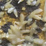 Vanadinita, descloizita y CalderonitaMina La Magnífica, Higuera de Llerena, Comarca Campiña Sur, Badajoz, Extremadura, EspañaCampo de visión de 5 mm. (Autor: Antonio Carmona)