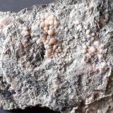 RhodochrositeMina Valgraveglia (Mina Gambatesa), Reppia, Valle Graveglia, Ne, Provincia Génova, Liguria, Italia7 x 6 cm (Author: Volkmar Stingl)