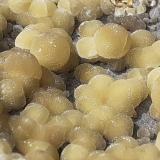 Calcite<br />Campomorto Quarry, Pietra Massa, Montalto di Castro, Viterbo Province, Lazio, Italy<br />10,5 x 7 cm<br /> (Author: Volkmar Stingl)