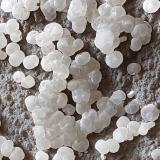 Talc<br />Arrestra Quarry, Molinetto, Cogoleto, Genova Province, Liguria, Italy<br />10 x 8 cm<br /> (Author: Volkmar Stingl)