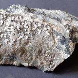 Talc<br />Arrestra Quarry, Molinetto, Cogoleto, Genova Province, Liguria, Italy<br />10 x 8 cm<br /> (Author: Volkmar Stingl)