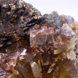 Fluorite, Calcite, SphaleriteMina Elmwood, Carthage, Distrito Central Tennessee Ba-F-Pb-Zn, Condado Smith, Tennessee, USA107 mm x 55 mm x 53 mm (Author: Don Lum)