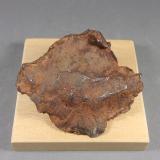 Hierro [Iron] (variedad kamacita) y Taenita [Taenite]<br /><br /><br /> (Autor: J. G. Alcolea)