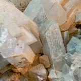 Celestina<br />Concesión Minerama II, Urbanización Puente Tablas, Jaén ciudad, Jaén, Comarca Metropolitana de Jaén, Andalucía, España<br />9 x 13 cm.<br /> (Autor: Felipe Abolafia)