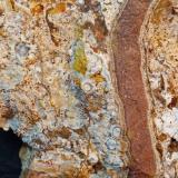 Celestina<br />Concesión Minerama II, Urbanización Puente Tablas, Jaén ciudad, Jaén, Comarca Metropolitana de Jaén, Andalucía, España<br />13 x 10 cm.<br /> (Autor: Felipe Abolafia)
