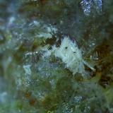 SchulteniteMonte Mallestiger Mittagskogel, Finkenstein am Faaker See, Distrito Villach-Land, Carintia/Kärnten, Austria3,5 x 2 cm (Author: Volkmar Stingl)