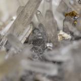 Quartz, Boulangerite<br />Yaogangxian Mine, Yizhang, Chenzhou Prefecture, Hunan Province, China<br /><br /> (Author: am mizunaka)