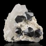 Cassiterite with Quartz and Albite<br />Shengus (Shingus), Roundu District, Gilgit-Baltistan (Northern Areas), Pakistan<br />14 x 13.5 x 7.5 cm / main crystal: 3.7 cm.<br /> (Author: MIM Museum)