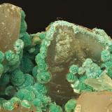 Fig. 9. Theisita sobre cristales de calcita en matriz dolomítica. C.V. 10 mm. Mina Delfina. Ortiguero de Cabrales. Cabrales. Asturias. Colección y foto Manuel Echevarría. (Autor: Echevarria)