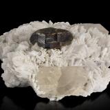 Stibiotantalita en Albita y con CuarzoValle Roundu, Distrito Skardu, Gilgit-Baltistan (Áreas del Norte), Paquistán8 x 7 x 5 cm / cristal principal: 2.8 cm (Autor: Museo MIM)