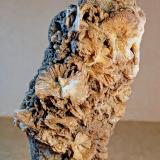 PrehnitaHuelma, Comarca Sierra Mágina, Jaén, Andalucía, España11 x 4 cm. (Autor: Felipe Abolafia)