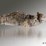 YesoMontalbán, Comarca Cuencas Mineras, Teruel, Aragon, Spain15cm x 3,5cm x 2cm (Autor: Pere Alonso)