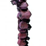 Copper<br />Itauz Mine, Dzhezkazgan, Karaganda Region, Kazakhstan<br />63 mm x 10 mm. Major crystal size: 8.5 mm wide - Mass: About 13 g.<br /> (Author: Carles Millan)