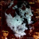 ZálesitaLa Cena del Depósito Claim, Huércal-Overa, Comarca Levante Almeriense, Almería, Andalusia, Spain2´296x2´290 mm. (Autor: Jesus Franquesa Baucells)