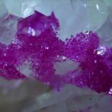 Erythrite, Quartz<br />Vignola Mine, Valsugana, Vignola-Falesina, Trento Province, Trentino-Alto Adige (Trentino-Südtirol), Italy<br />1,5 x 1,5 cm<br /> (Author: Volkmar Stingl)