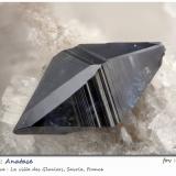 Anatase with Albite<br />Ville des Glaciers, Savoie, Auvergne-Rhône-Alpes, France<br />fov 2.1 mm<br /> (Author: ploum)