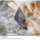 Anatase with Albite and Quartz<br />Ville des Glaciers, Savoie, Auvergne-Rhône-Alpes, France<br />fov 8.5 mm<br /> (Author: ploum)